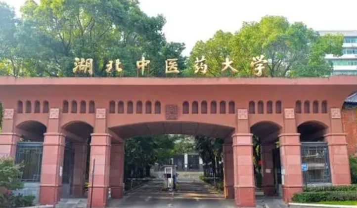 武汉医药类大学有哪些 武汉医药类大学名单一览表
