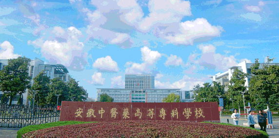 新疆医学美容技术专业大学排名及分数线一览表