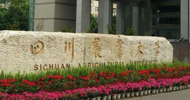 宁夏工程造价专业大学排名及分数线一览表