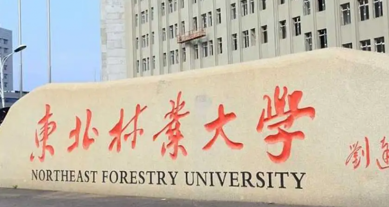 天津物流工程专业大学排名及分数线一览表