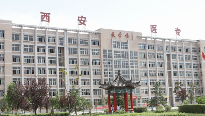 宁夏中医康复技术专业大学排名及分数线一览表