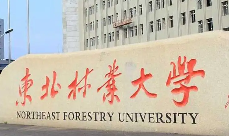 宁夏木材科学与工程专业大学排名及分数线一览表