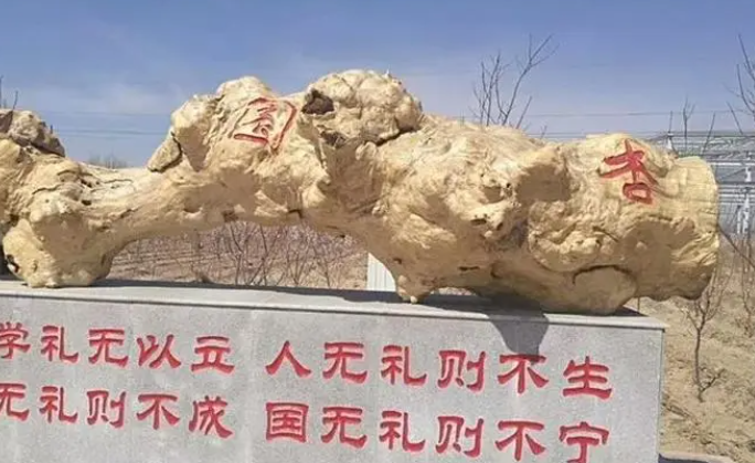 台安县职业教育中心招生简章2023年