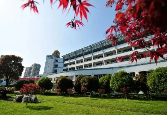 桐乡市茅盾中学地址，乘车路线