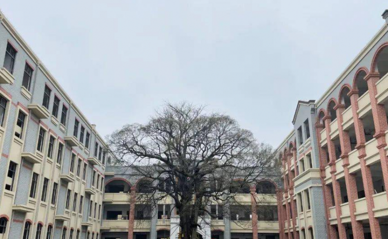 嘉善新世纪学校怎么样、好不好