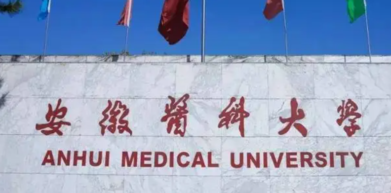 安徽养老服务管理专业大学排名及分数线一览表