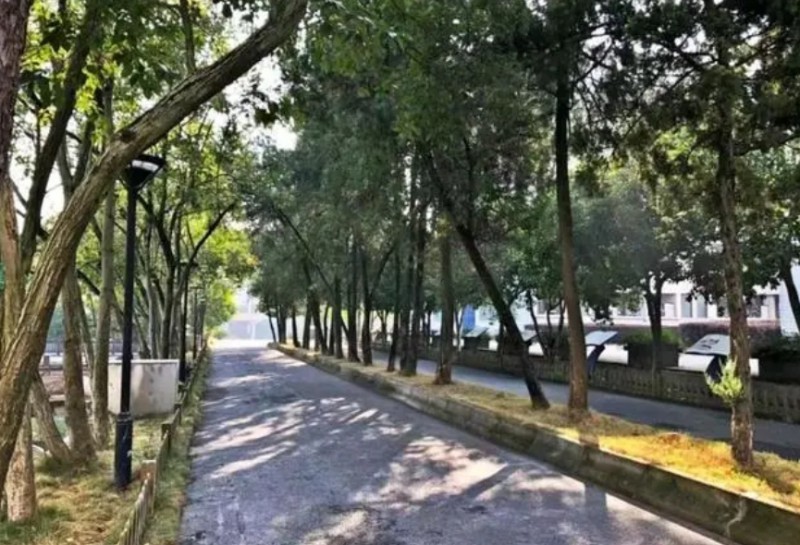 义乌市上溪中学地址,乘车路线