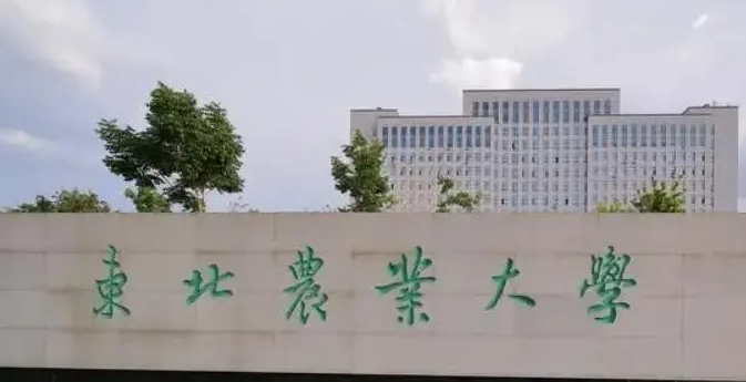 2023东北农业大学排名全国第几名（2024年参考）