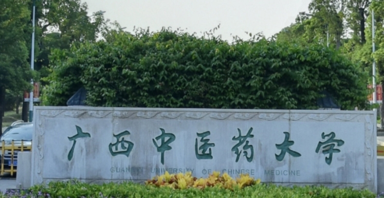 2023广西中医药大学排名全国第几名（2024年参考）