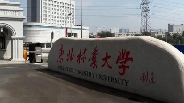 2023东北林业大学排名全国第几名（2024年参考）