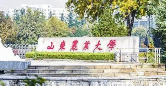 2023山东农业大学排名全国第几名（2024年参考）