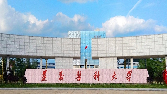 遵义医科大学全国第几名（2024年参考）