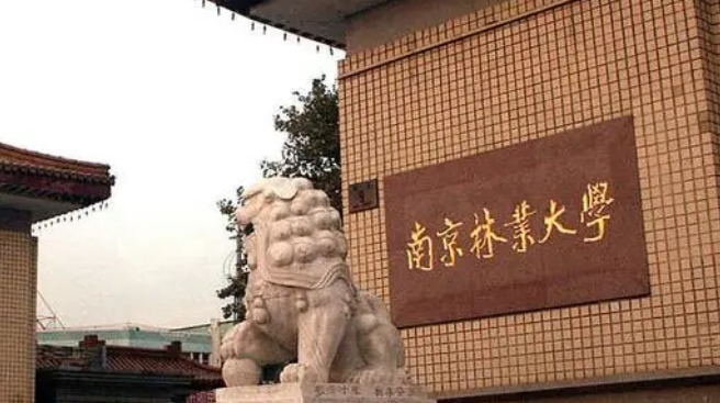 南京林业大学全国第几名（2024年参考）
