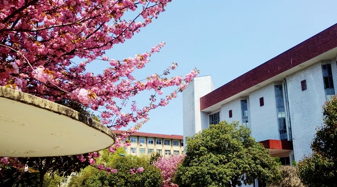 陕西2024年高中毕业有哪些中专学校