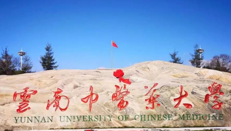 云南中医药大学全国第几名（2024年参考）