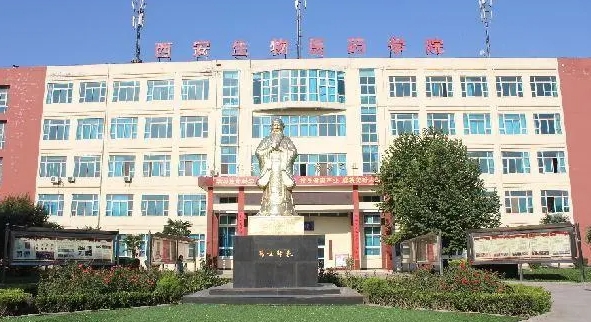 陕西2024年男生上什么中专好