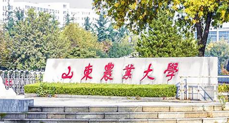 山东最好五个二本大学，2023山东二本院校完整名单一览