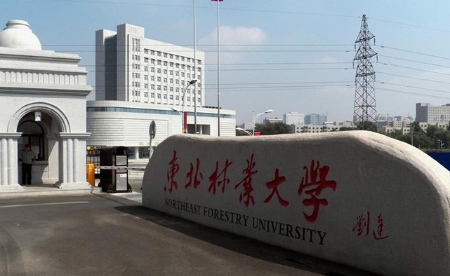 东北林业大学是什么样的大学 985还是211高校（附王牌特色专业）