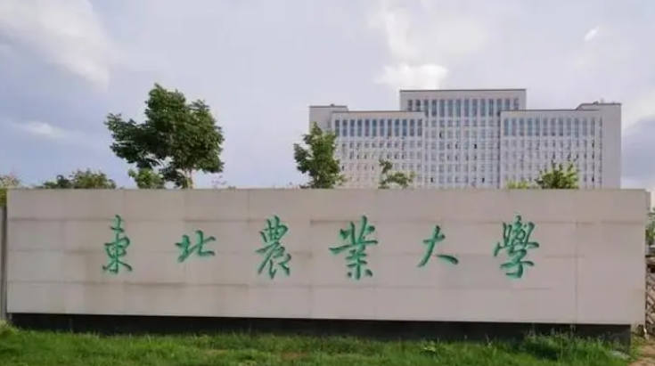 东北农业大学是什么样的大学 985还是211高校（附王牌特色专业）