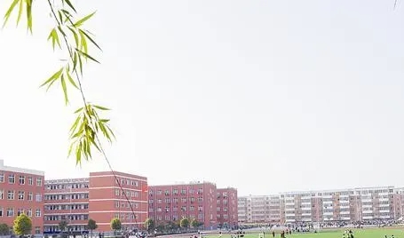 2023平舆完全中学录取分数线(2024年参考)