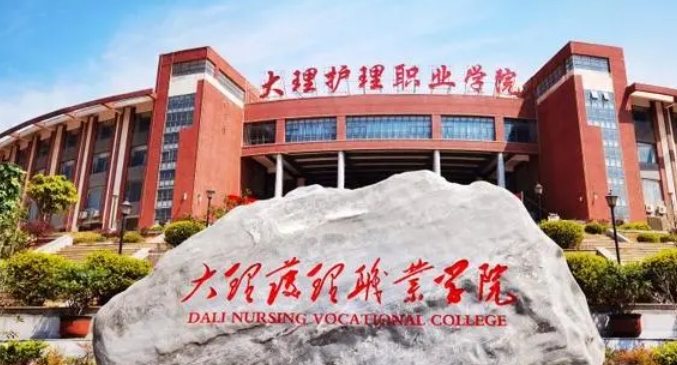 2024大理护理职业学院重点特色专业汇总表