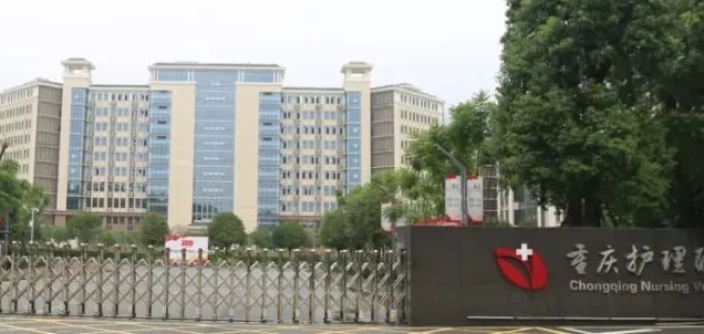 2024重庆护理职业学院重点特色专业汇总表