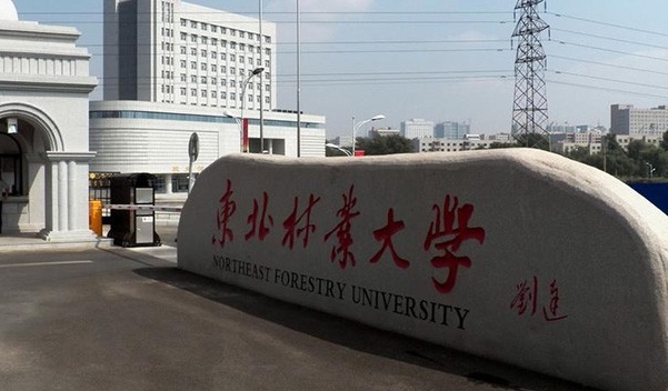 东北林业大学评价怎么样,学校好不好