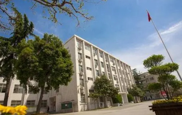 2023洛阳外国语学校录取分数线(2024年参考)