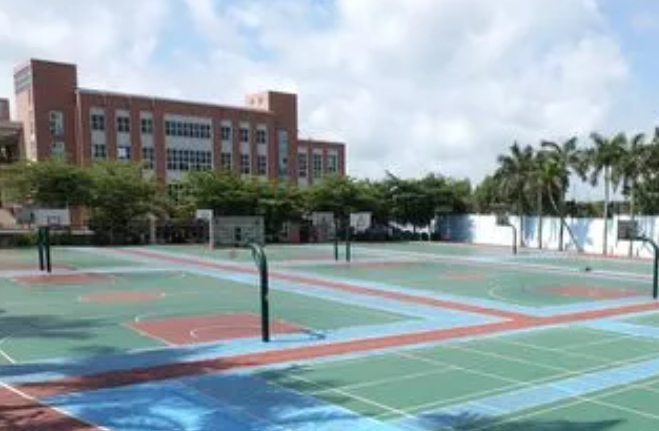 2023湛江市体育学校、美术中学录取分数线(2024年参考)