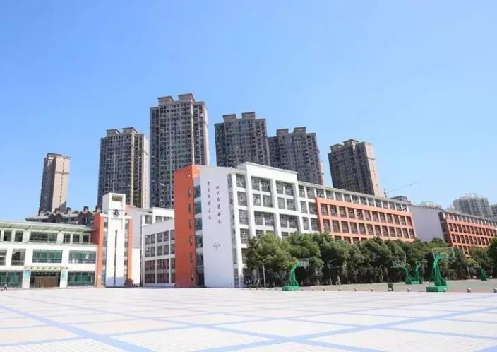 2023肥西实验高级中学录取分数线(2024年参考)