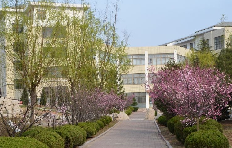 2023莱西市实验学校录取分数线(2024年参考)