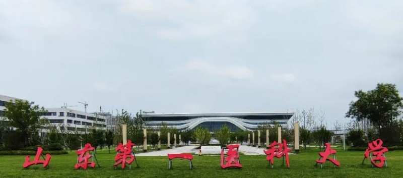 山东第一医科大学是几本院校 985还是211高校（附重点专业）