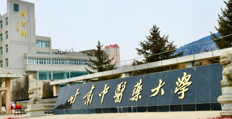 在甘肃高考485分算什么水平（近三年）甘肃高考485分能上的大学 