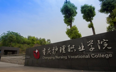 在重庆高考265分算什么水平（近三年）重庆高考265分能上的大学