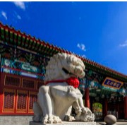 北京王府外国语学校