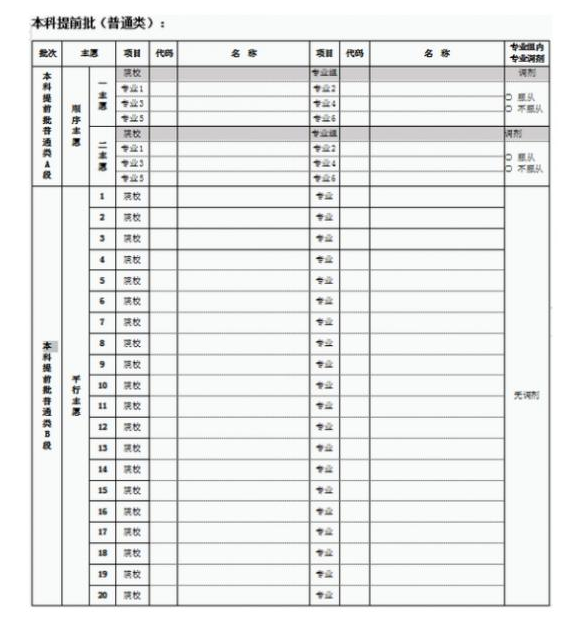 2024北京高考志愿填报电子样板表