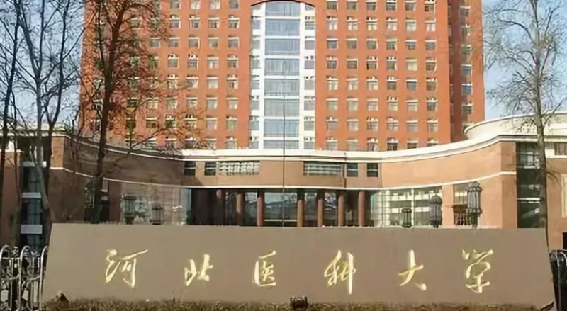 在河北高考540分算什么水平（近三年）河北高考540分能上的大学