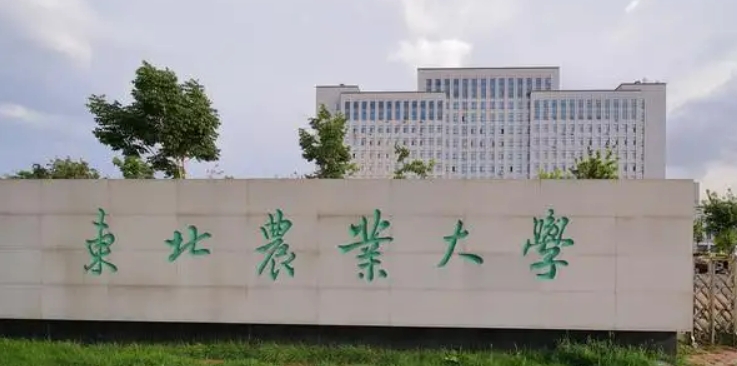 在黑龙江高考465分算什么水平（近三年）黑龙江高考465分能上的大学 