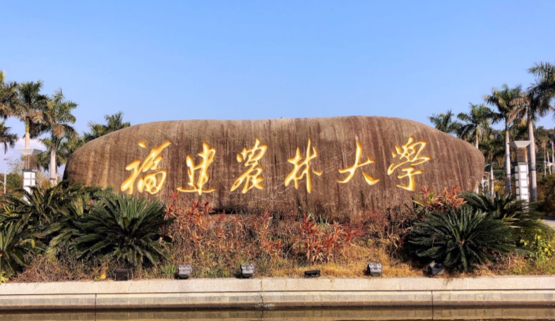 在福建高考565分算什么水平（近三年）福建高考565分能上的大学 