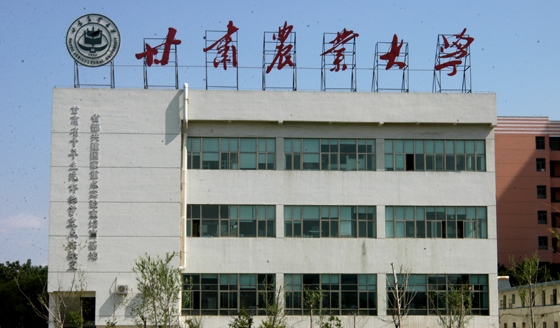 在甘肃高考435分算什么水平（近三年）甘肃高考435分能上的大学 