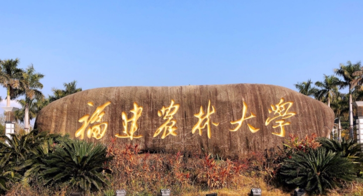 在福建高考530分算什么水平（近三年）福建高考530分能上的大学 