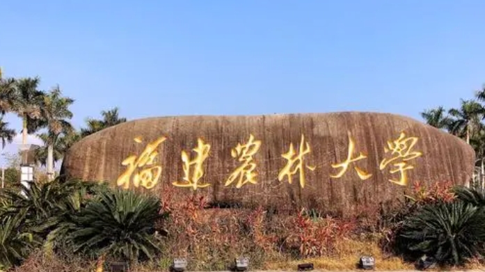 在福建高考540分算什么水平（近三年）福建高考540分能上的大学 