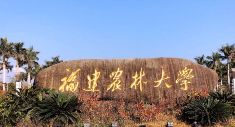 在福建高考555分算什么水平（近三年）福建高考555分能上的大学 
