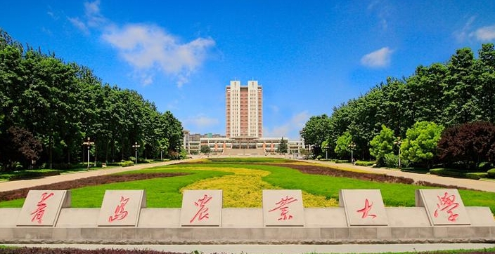 青岛农业大学高考录取分数线是多少