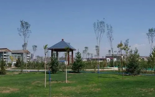 甘肃2024年上中专学校需要什么证件