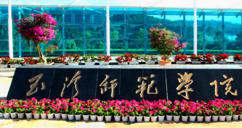 2023玉溪师范学院高考录取分数线是多少（2024参考）