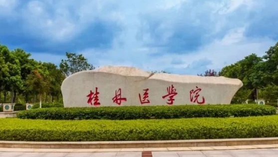 2023桂林医学院高考录取分数线是多少（2024参考）