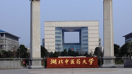 2023湖北中医药大学高考录取分数线是多少（2024参考）