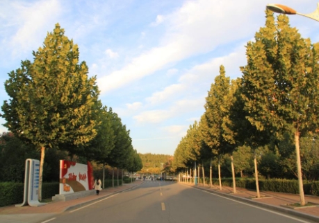 山东2024哪里的中专学校比较好