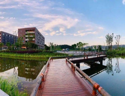 2024年西华大学(宜宾校区)多少钱